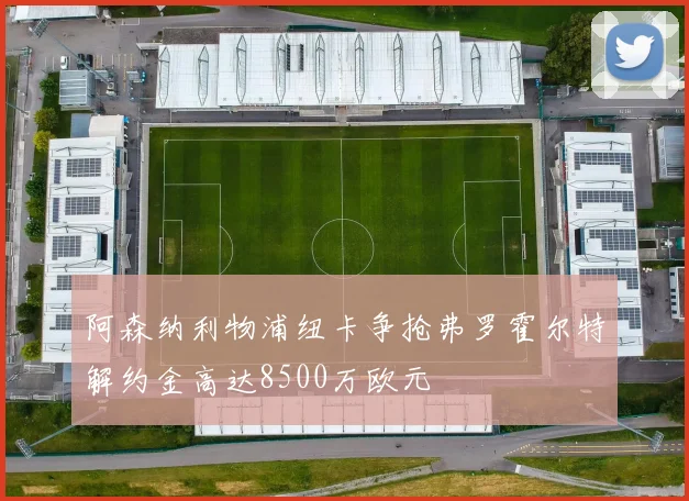 阿森纳利物浦纽卡争抢弗罗霍尔特解约金高达8500万欧元