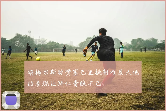 胡梅尔斯称赞塞巴里挑射难度大他的表现让拜仁青睐不已