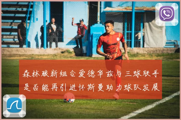 森林狼新组合爱德华兹与三球联手是否能再引进怀斯曼助力球队发展